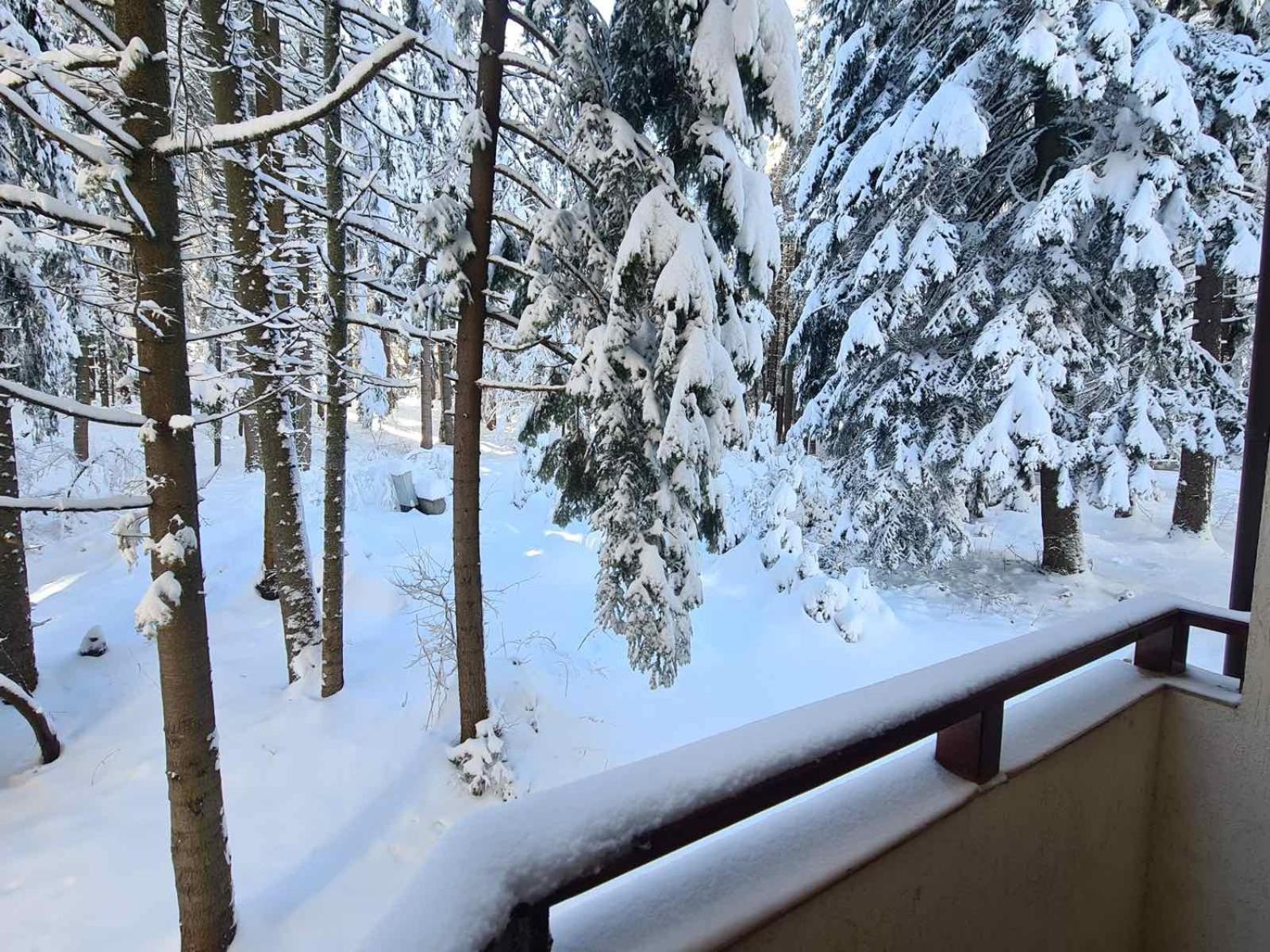 Forest Apartment/ Villa Park Боровец Екстериор снимка